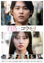 大森元貴、松村北斗×今田美桜W主演映画『白鳥とコウモリ』主題歌「灰色」の配信リリースが決定 - 画像一覧（2/3）