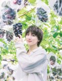 SixTONES京本大我、ぶどう狩りの撮影でぶどう農家のご主人が「いや～、男前だね～！」