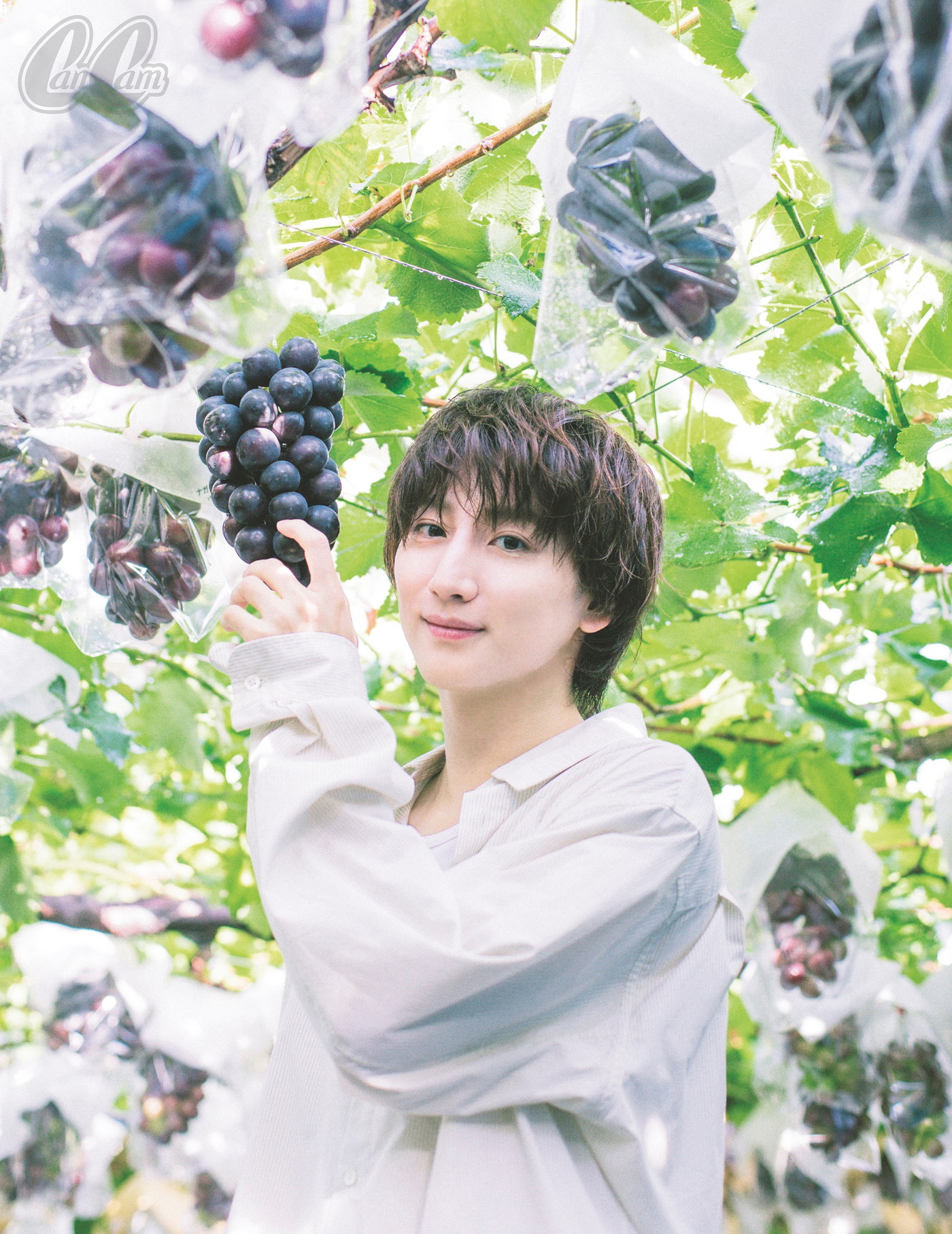 SixTONES京本大我、ぶどう狩りの撮影でぶどう農家のご主人が「いや～、男前だね～！」