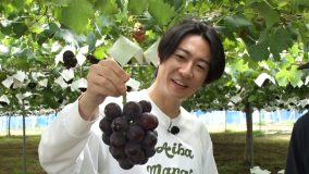 相葉雅紀『相葉マナブ』で本格スイーツ＆和菓子作りに挑戦！生地作りから相葉が奮闘