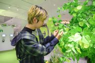 ミセス、日本人アーティスト初の快挙！ソウルタワー点灯式に「参加できてとてもうれしい」（若井滉斗） - 画像一覧（10/14）
