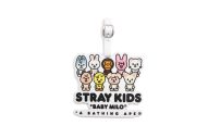 Stray Kid、BAPE STORE(R) DOSANに来店！コラボキャンペーン開始、特別なガチャマシンも登場 - 画像一覧（8/22）